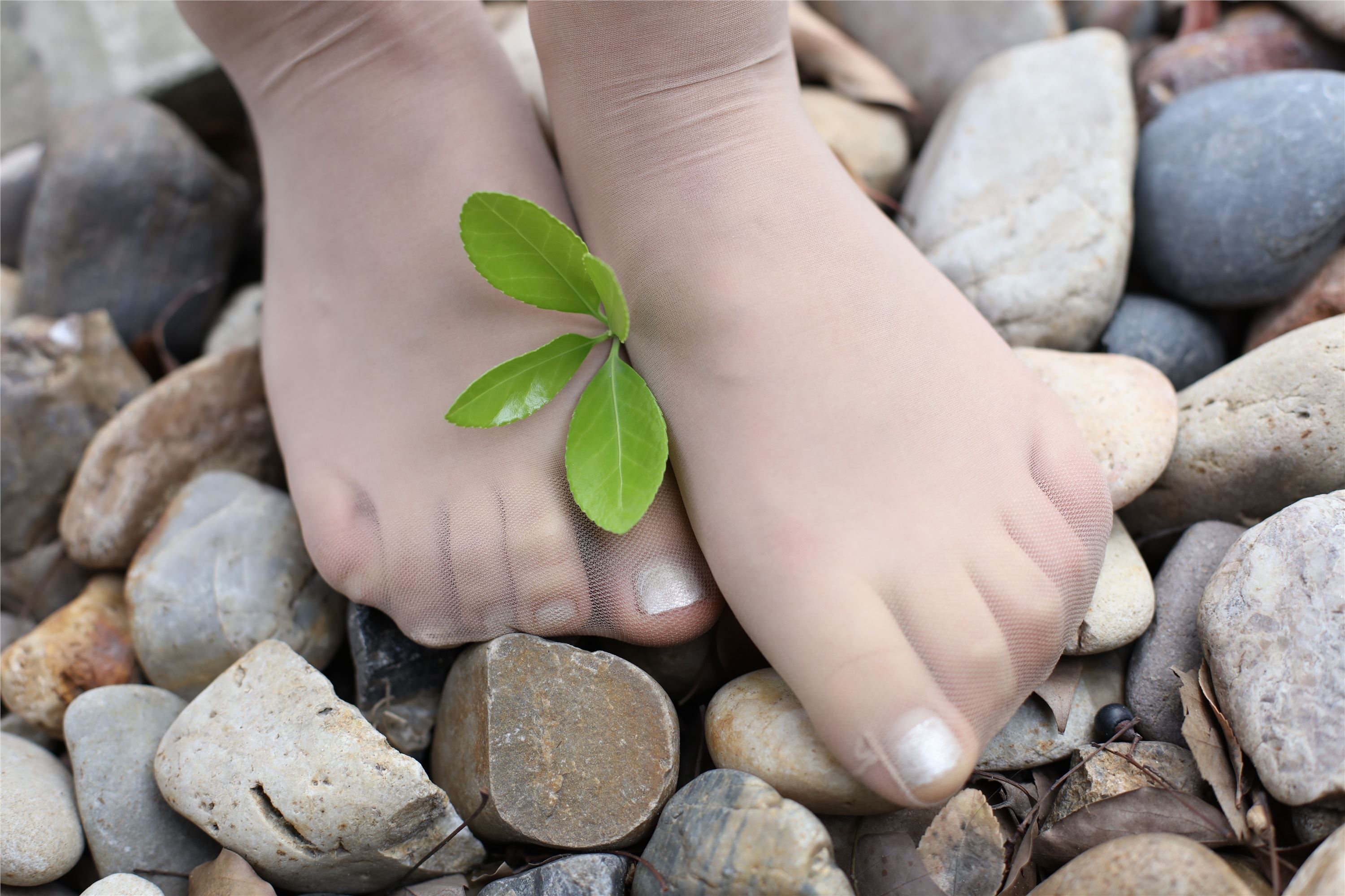 奈丝写真  NO.095 高高-静坐庭院 细看肉丝